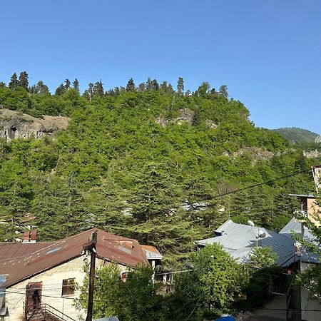 Guest House Nana 보르조미 외부 사진