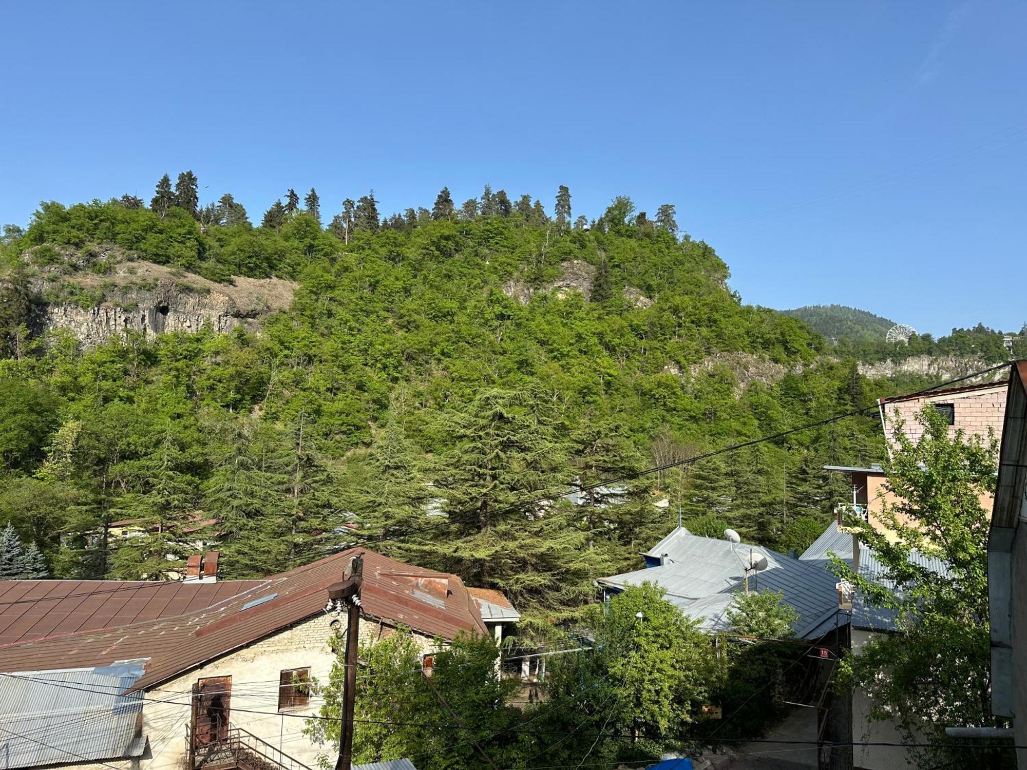 Guest House Nana 보르조미 외부 사진